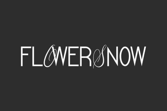 Flower Snow: A Unique Serif Typeface for Digital Design