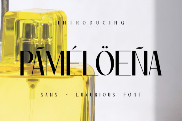 Pameloena: A Designerβs Honest Review